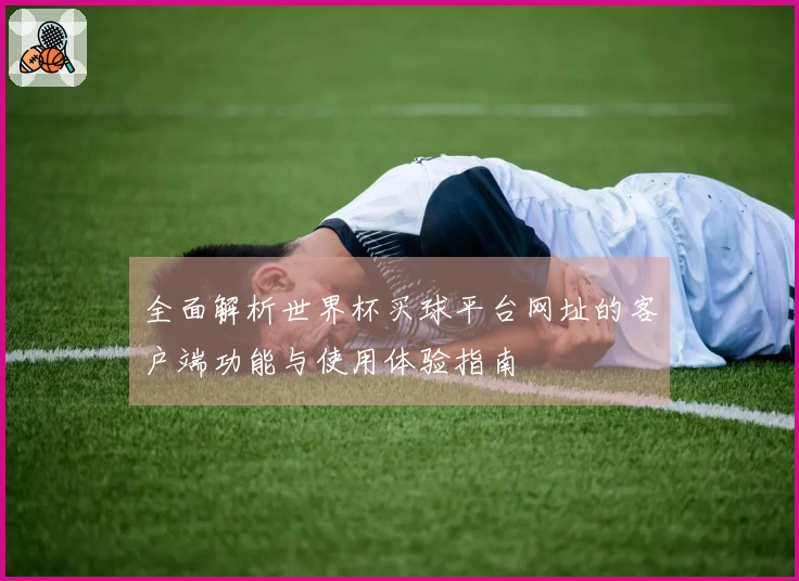 全面解析世界杯买球平台网址的客户端功能与使用体验指南