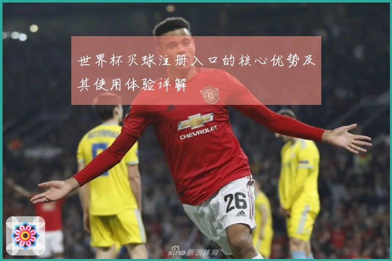 世界杯买球注册入口的核心优势及其使用体验详解
