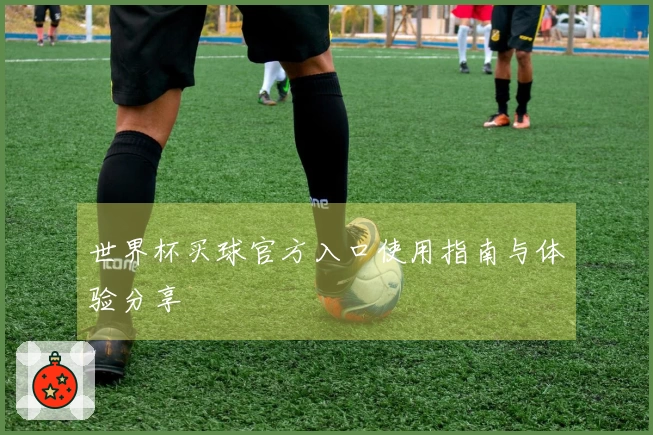 世界杯买球官方入口使用指南与体验分享