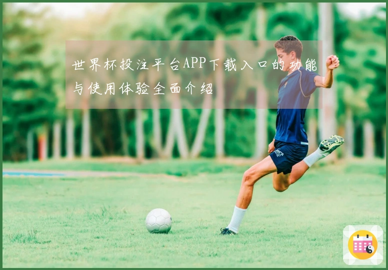 世界杯投注平台APP下载入口的功能与使用体验全面介绍