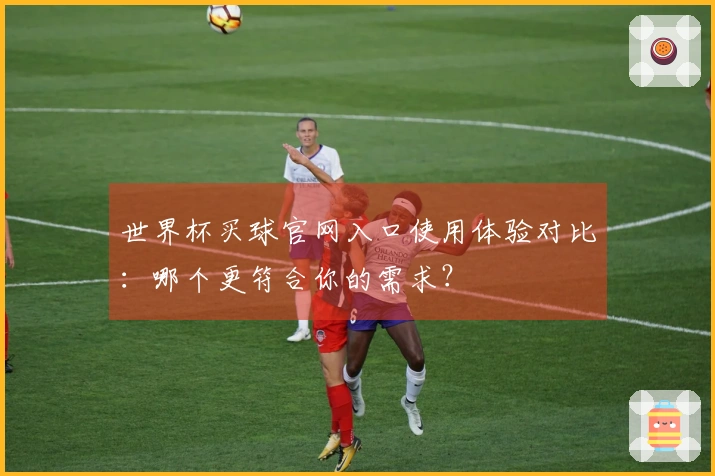 世界杯买球官网入口使用体验对比：哪个更符合你的需求？