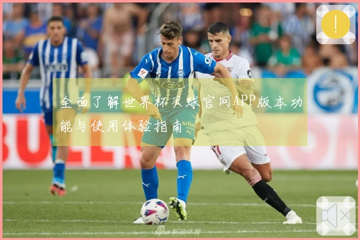 全面了解世界杯买球官网APP版本功能与使用体验指南