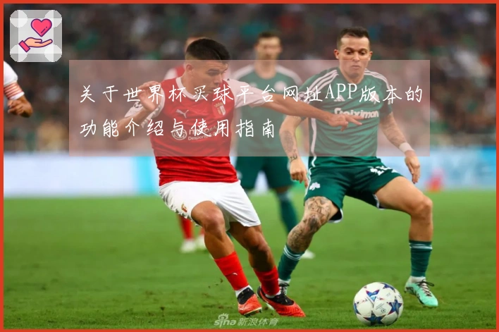 关于世界杯买球平台网址APP版本的功能介绍与使用指南