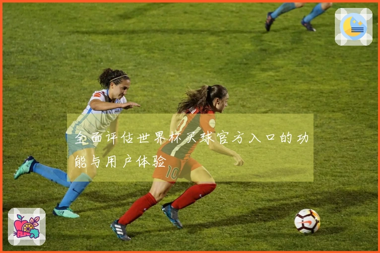 全面评估世界杯买球官方入口的功能与用户体验