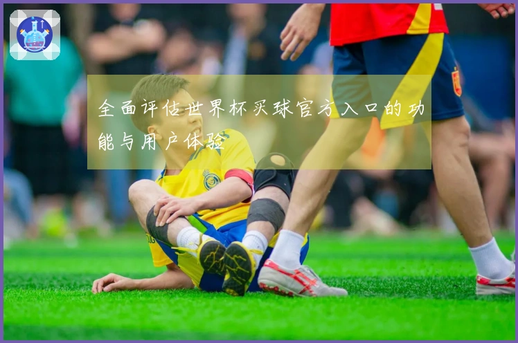 全面评估世界杯买球官方入口的功能与用户体验