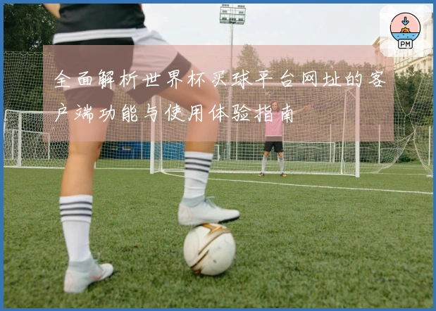 全面解析世界杯买球平台网址的客户端功能与使用体验指南
