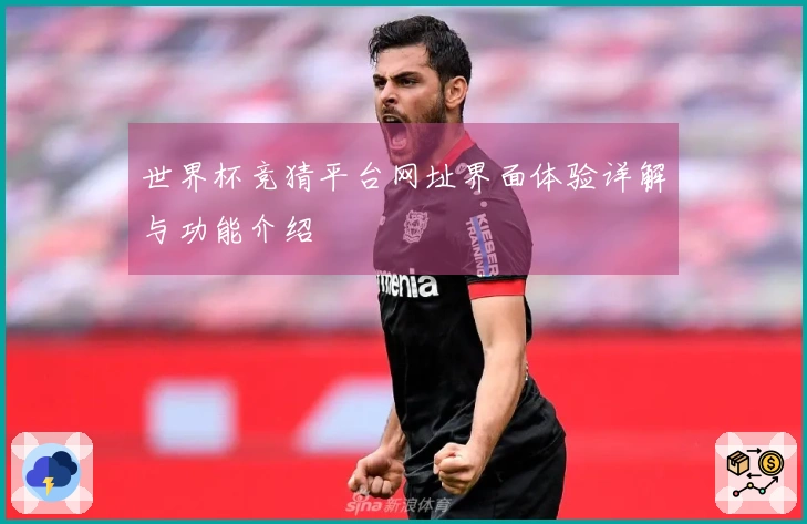 世界杯竞猜平台网址界面体验详解与功能介绍